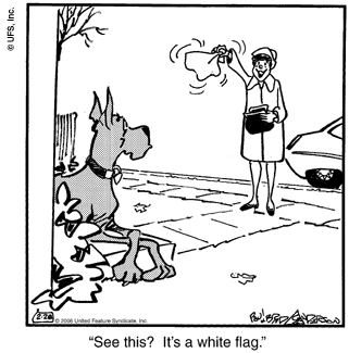 marmaduke